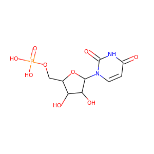 Uridine monophosphate